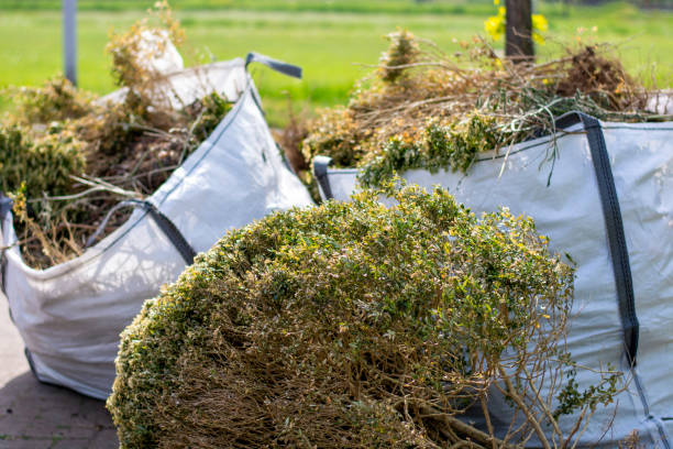 Best Basement Cleanout Services  in North East, MD