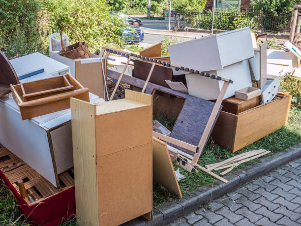 Yard Cleanup Services in North East, MD